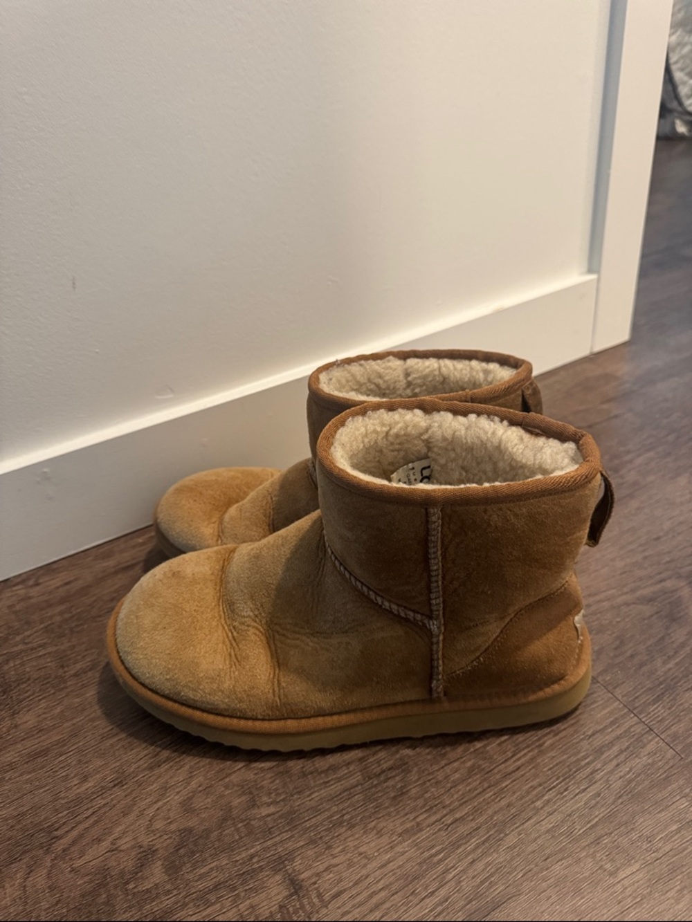 UGG Chestnut Short Boots